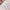 files/DivineElegantstartesset.png