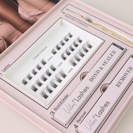 Velvet Volume Starters Box